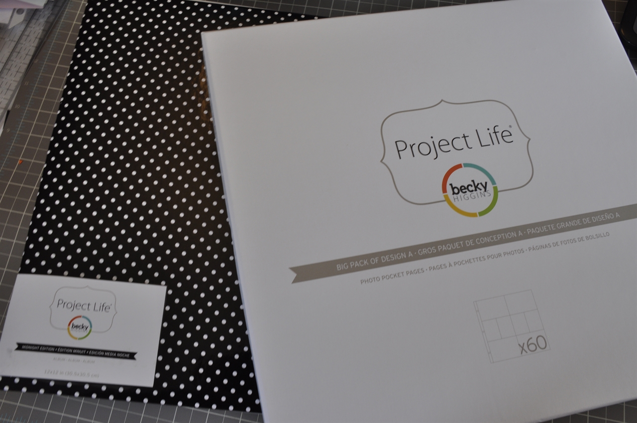 First attempt at Project Life