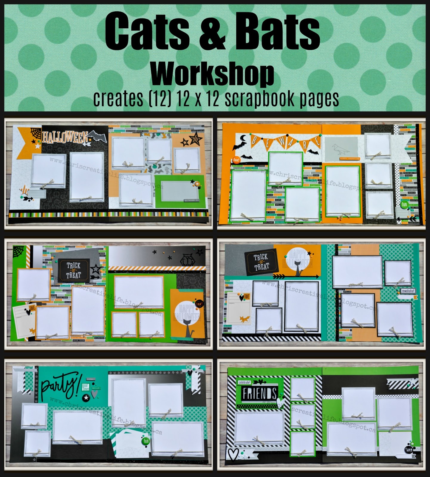 A Cats & Bats Workshop