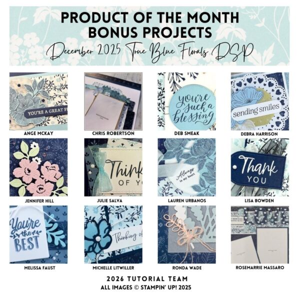 Product of the Month Bonus Projects December 2025