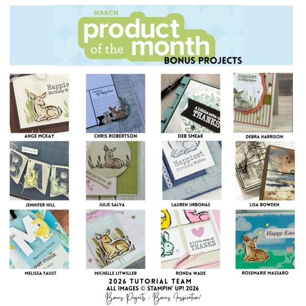 Product of the Month Bonus Projects March 2026