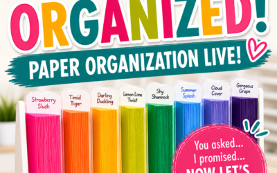 Let’s Get Organized (For Real This Time 😉)